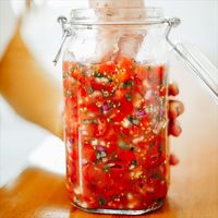 Crafty Cultures Vegetable Fermentation Kit